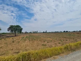 For sale land in Dan Khun Thot, Nakhon Ratchasima
