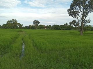 For sale land in Mueang Surin, Surin
