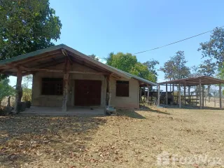 For sale land in Renu Nakhon, Nakhon Phanom