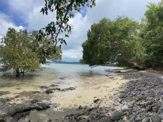 For sale land in Mueang Phuket, Phuket