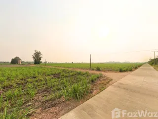 For sale land in Mueang Kamphaeng Phet, Kamphaeng Phet