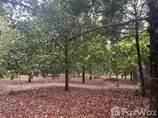 ขาย ที่ดิน ใน นายายอาม, จันทบุรี