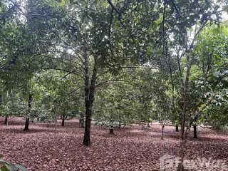 ขาย ที่ดิน ใน นายายอาม, จันทบุรี
