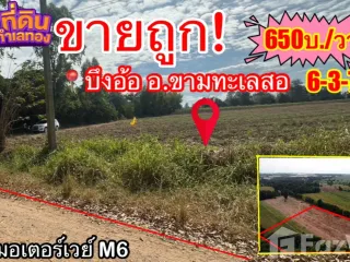 For sale land in Kham Thale So, Nakhon Ratchasima