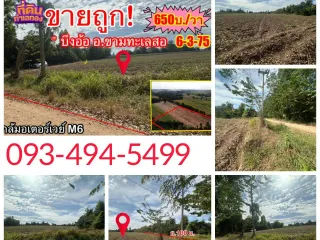 For sale land in Kham Thale So, Nakhon Ratchasima