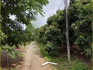 For sale land in Hot, Chiang Mai