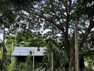 ขาย ที่ดิน ใน หางดง, เชียงใหม่