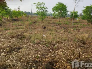 ขาย ที่ดิน ใน ภูเวียง, ขอนแก่น