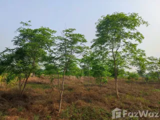 ขาย ที่ดิน ใน ภูเวียง, ขอนแก่น