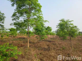 ขาย ที่ดิน ใน ภูเวียง, ขอนแก่น