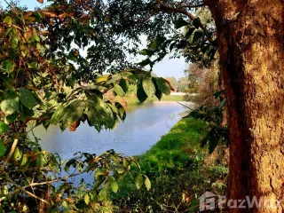 For sale land in Wiang Chai, Chiang Rai