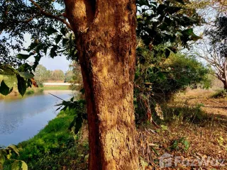 For sale land in Wiang Chai, Chiang Rai