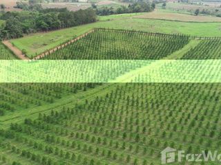 For sale land in Khao Kho, Phetchabun