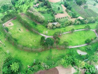 For sale land in Khao Kho, Phetchabun