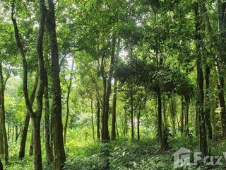 For sale land in Ko Yao, Phang Nga
