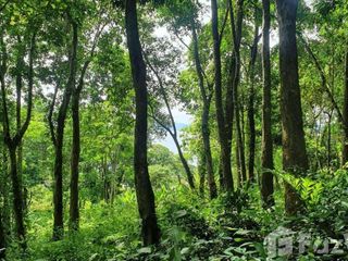 For sale land in Ko Yao, Phang Nga