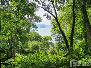 For sale land in Ko Yao, Phang Nga
