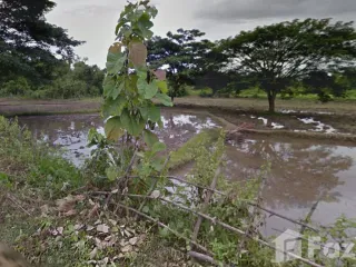 For sale land in Mueang Lampang, Lampang