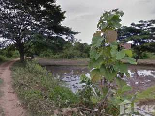 For sale land in Mueang Lampang, Lampang