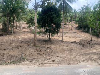 For sale land in Ko Samui, Surat Thani