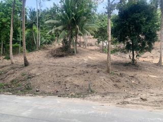 For sale land in Ko Samui, Surat Thani