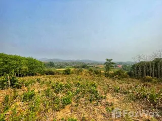 For sale land in Chiang Klang, Nan