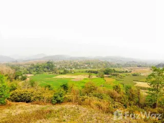 For sale land in Chiang Klang, Nan