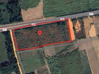 For sale land in Ban Rai, Uthai Thani