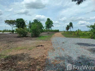 For sale land in Sena, Phra Nakhon Si Ayutthaya