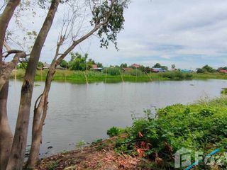 For sale land in Sena, Phra Nakhon Si Ayutthaya