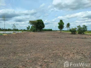 For sale land in Sena, Phra Nakhon Si Ayutthaya
