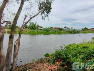 For sale land in Sena, Phra Nakhon Si Ayutthaya