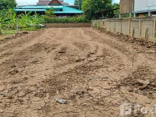 For sale land in Sena, Phra Nakhon Si Ayutthaya