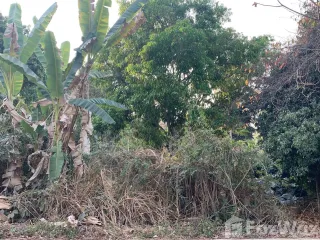 For sale land in Hang Dong, Chiang Mai