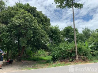 For sale land in Hang Dong, Chiang Mai