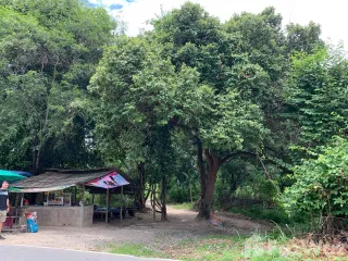For sale land in Hang Dong, Chiang Mai