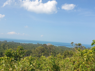 For sale land in Ko Samui, Surat Thani