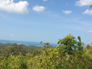 For sale land in Ko Samui, Surat Thani