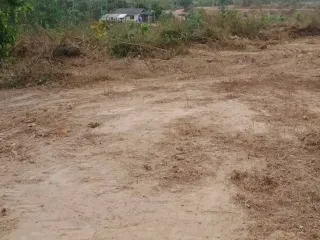 For sale land in Mueang Lampang, Lampang