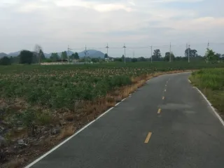 For sale land in Ban Chang, Rayong