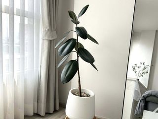 For rent 1 Beds condo in Huai Khwang, Bangkok