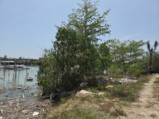For sale land in Mueang Phuket, Phuket