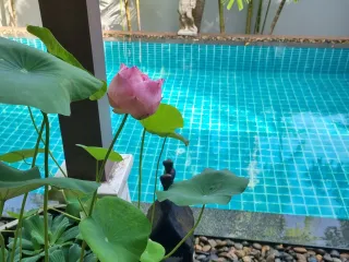 For sale 3 bed villa in Mueang Phuket, Phuket