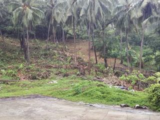 For sale land in Mueang Phuket, Phuket