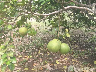 For sale land in Thong Pha Phum, Kanchanaburi