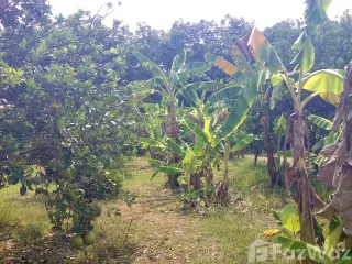For sale land in Thong Pha Phum, Kanchanaburi