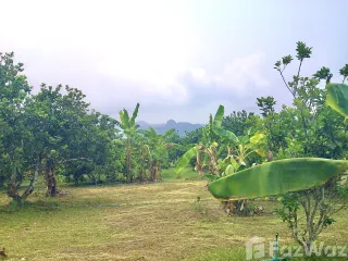 For sale land in Thong Pha Phum, Kanchanaburi