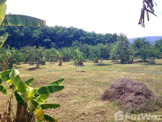 For sale land in Thong Pha Phum, Kanchanaburi