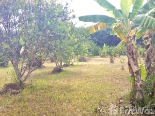 For sale land in Thong Pha Phum, Kanchanaburi