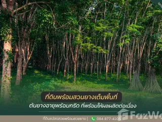 For sale land in Thong Pha Phum, Kanchanaburi